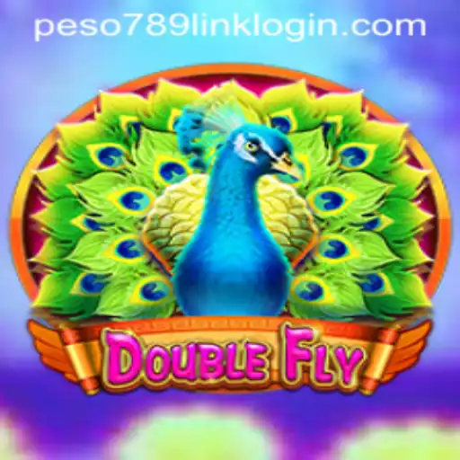 DoubleFly: A Thrilling Journey into the World of Virtual Adventure